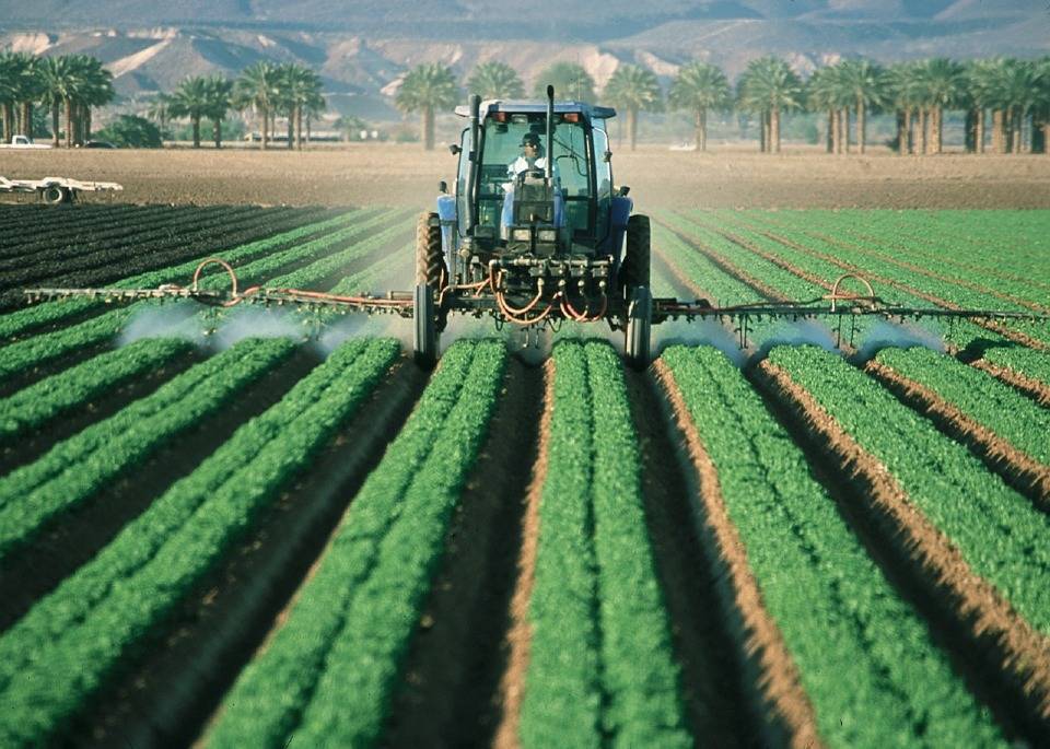 aa906f09a182f1f9acfe_agribiz.jpg
