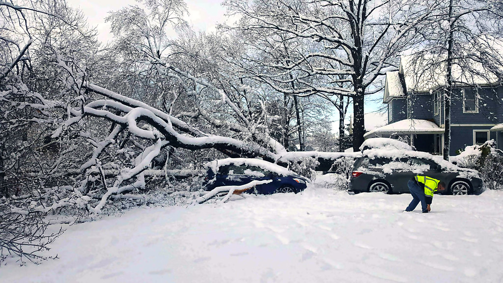 ac86177d44deaed88da7_Snow_FW.jpg