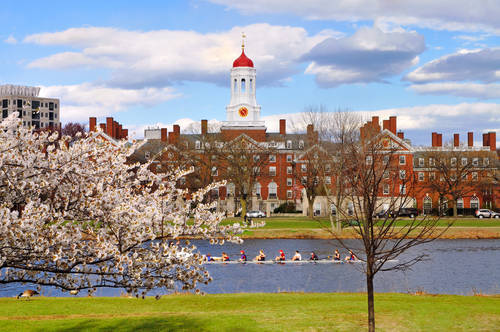 afa6ec5d7d11f0947414_Harvard_University.jpg
