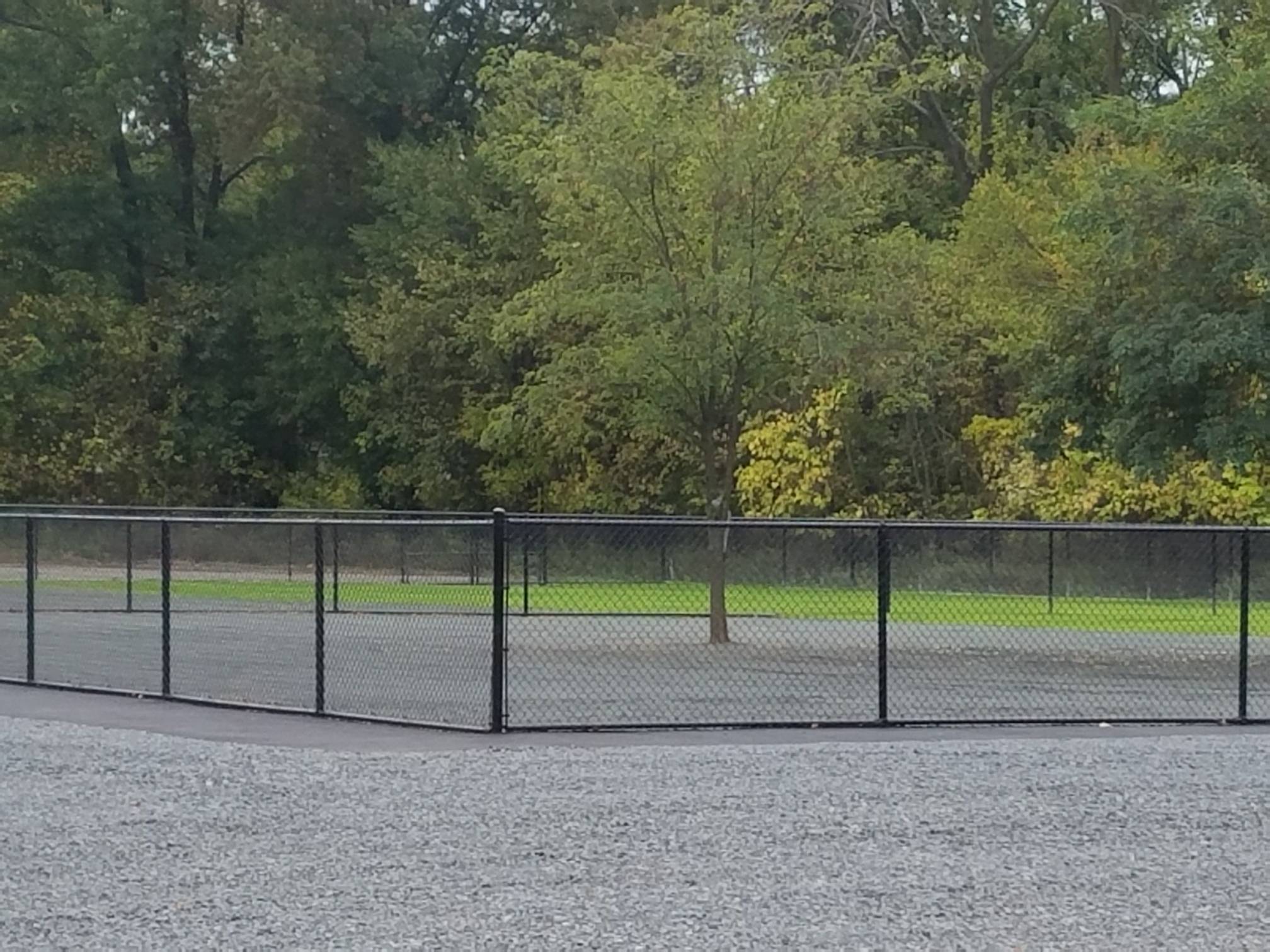 Southside Dog Park Opens South Plainfield NJ News TAPinto