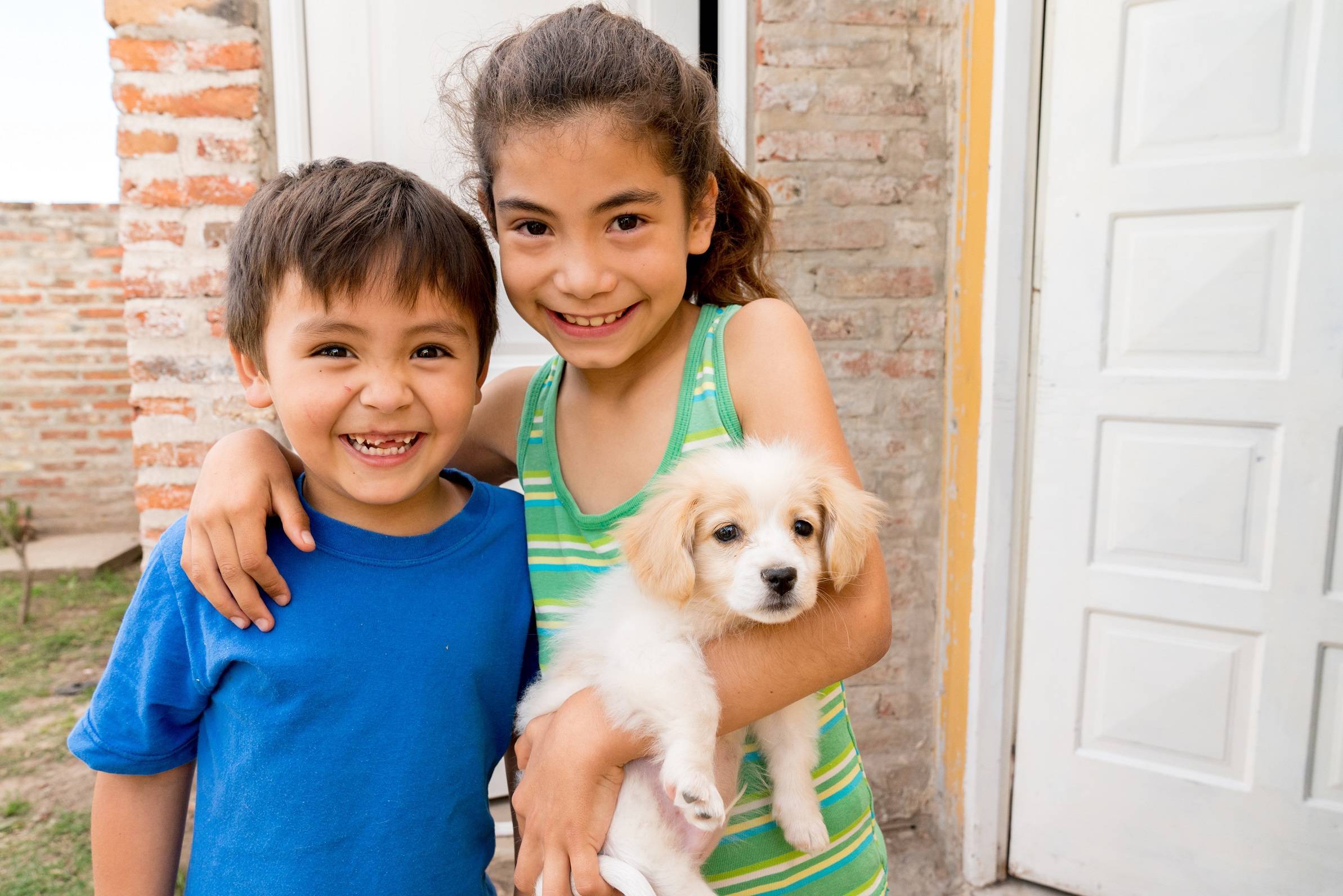 b1746a1da5eab16d06aa_sister-brother-puppy-re.jpg