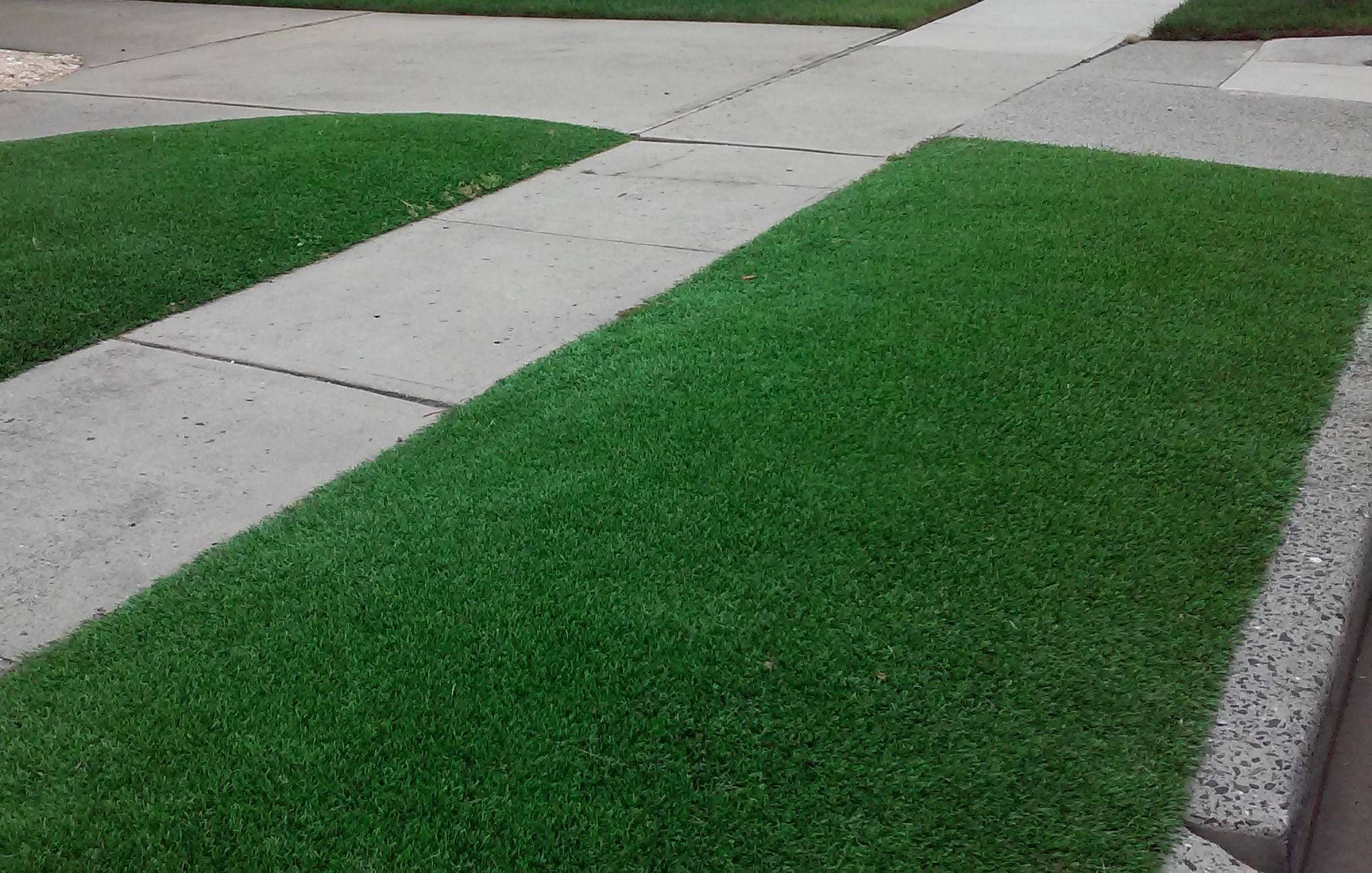 b33a583a060b46c70fac_artificialturf3.jpg