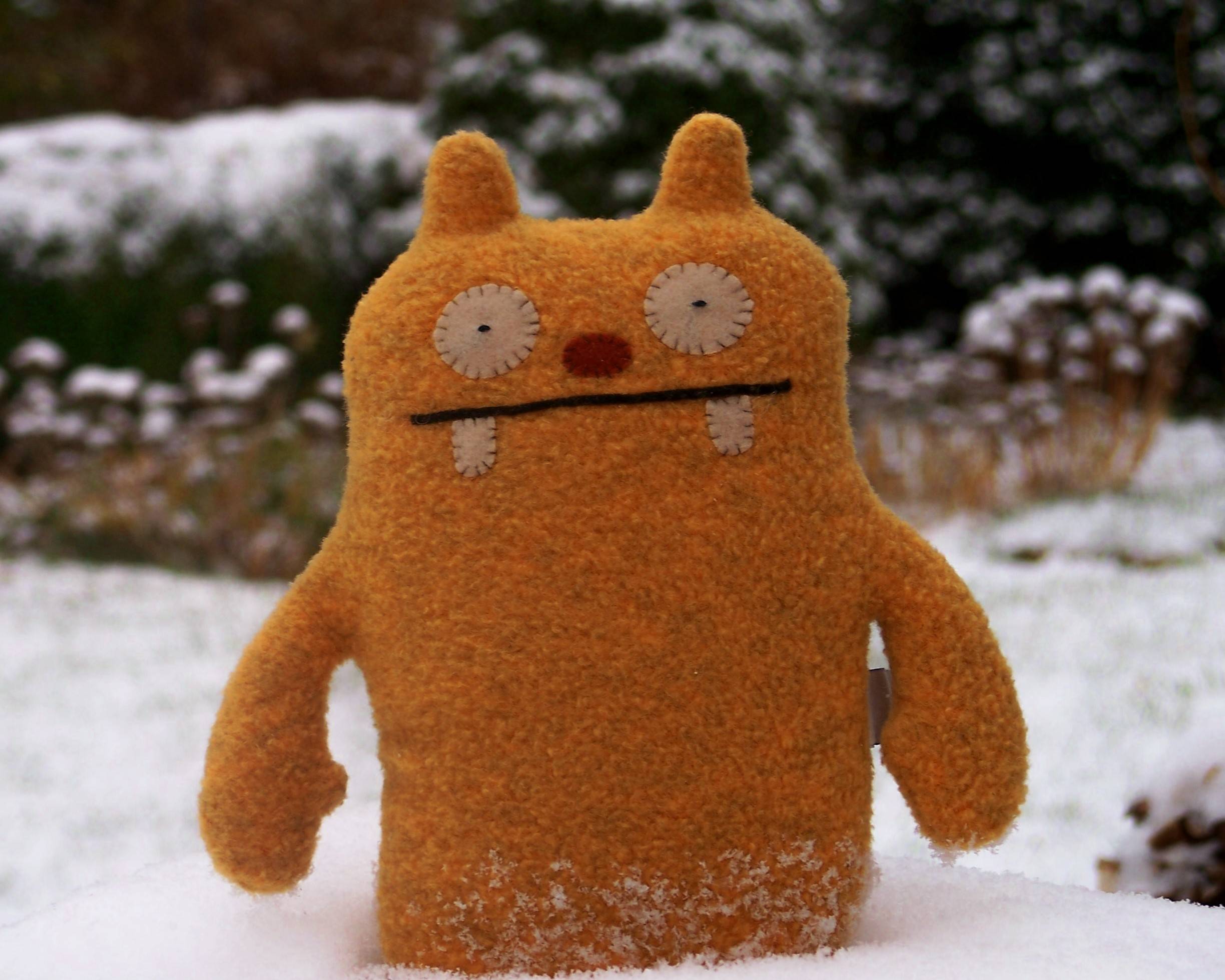 b3a4be75075b5f3778c9_Jeero_Loves_A_Snow_Day.jpg