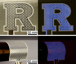 b40da0b602cb7fb938cb_rutgersgerms.jpg