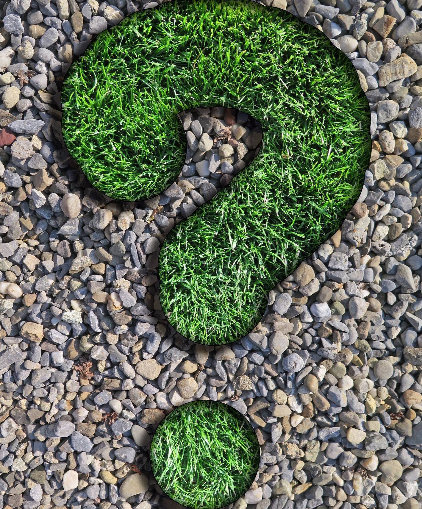 b47c7a49d804b016affe_question_in_grass_and_stone_9_Summertime_Issues_Solved-2181689_1920.jpg