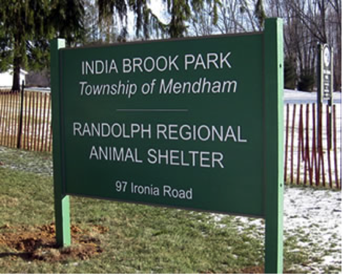 b566d6cf5da00ef540a2_Animal_Shelter.jpg