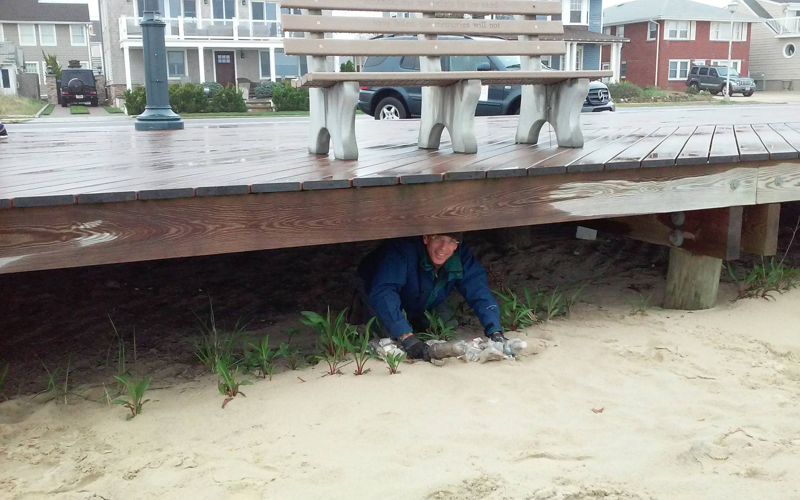 b78e591cdb0518b0825f_beachsweep-3.jpg