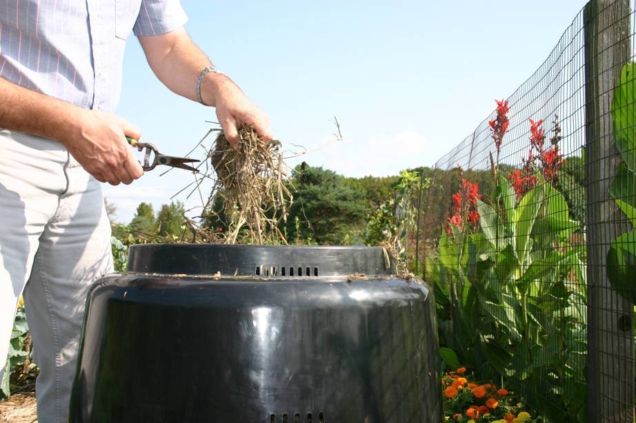 b8186ffc7d45c1ca861e_Compost_cutting.jpg
