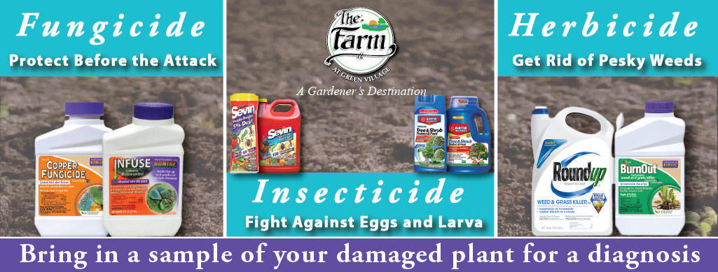 b854200cb35f290c8afe_Pesticide-TAP.jpg
