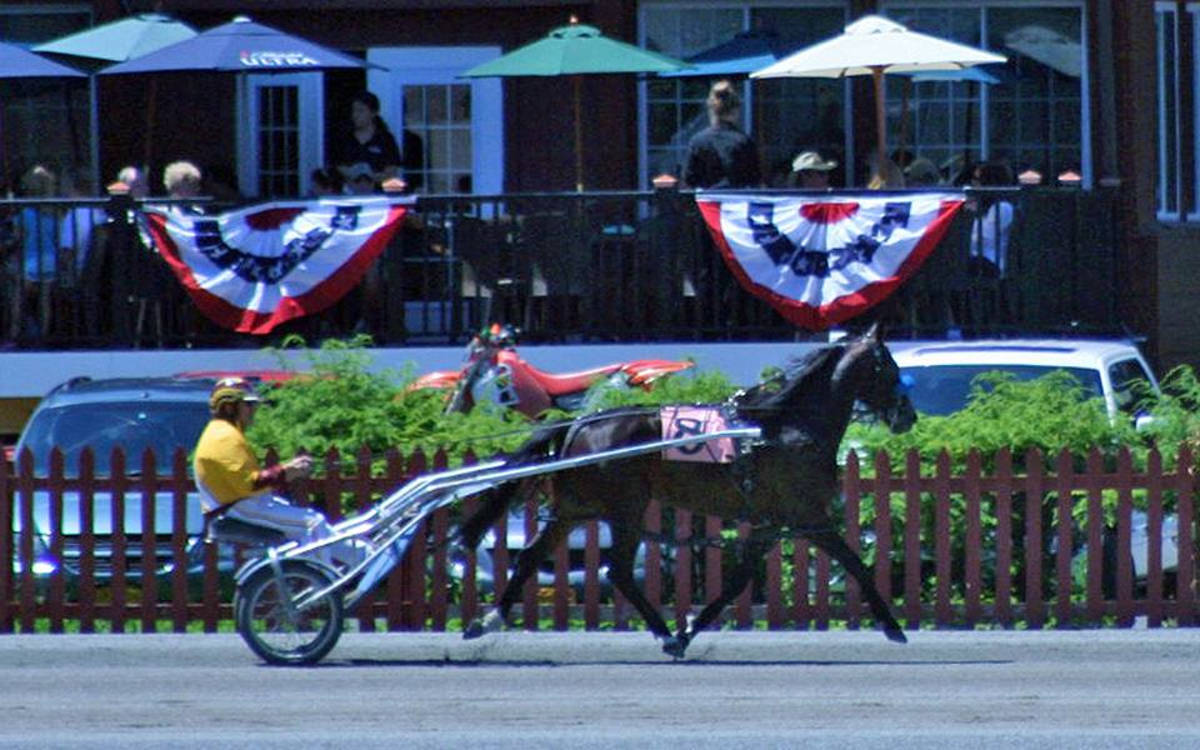 Learn About Standardbred Race Horse Ownership On June 10 News TAPinto