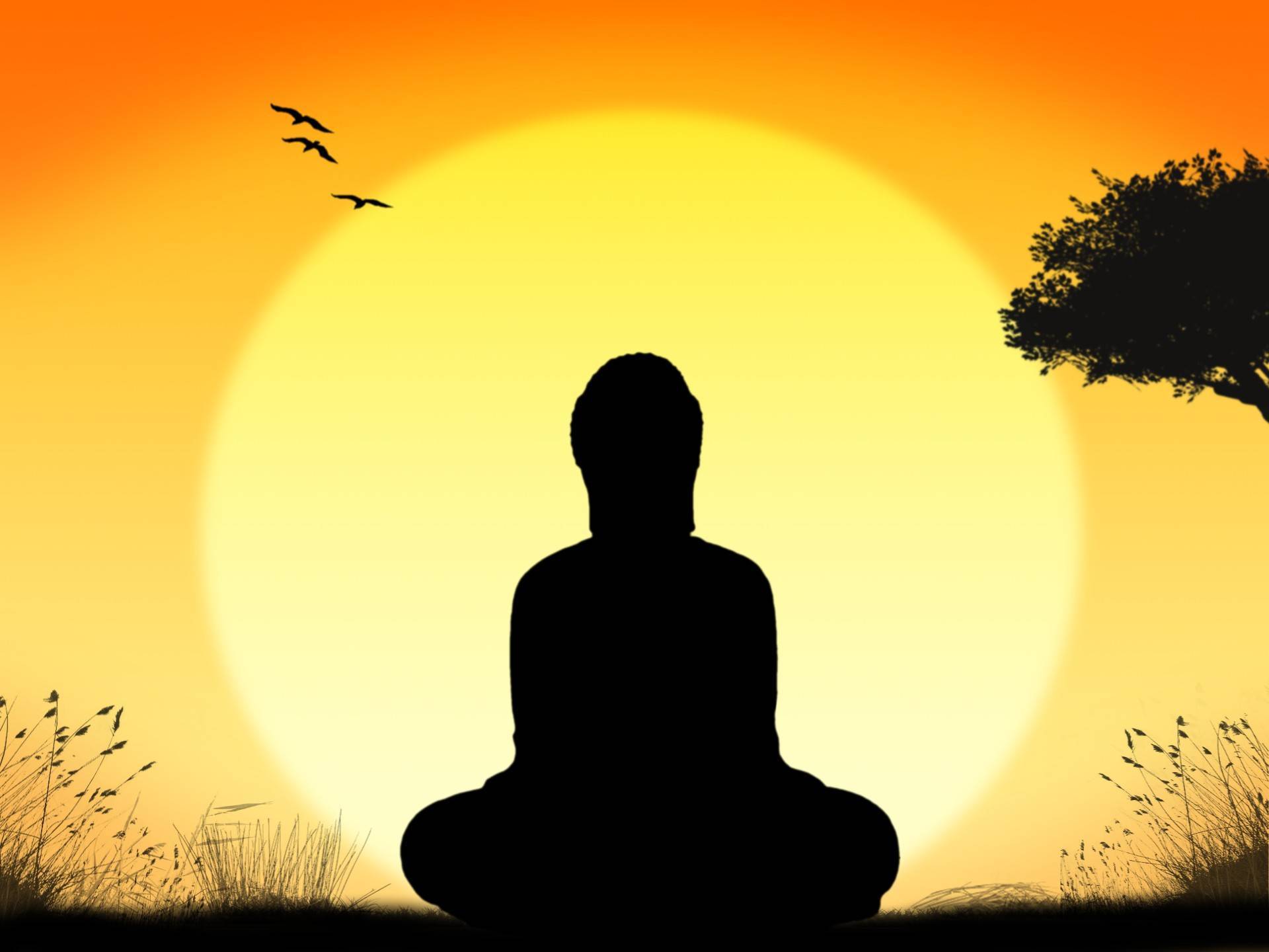 ba4457f296adc45dc602_meditation-1395091315fOg.jpg