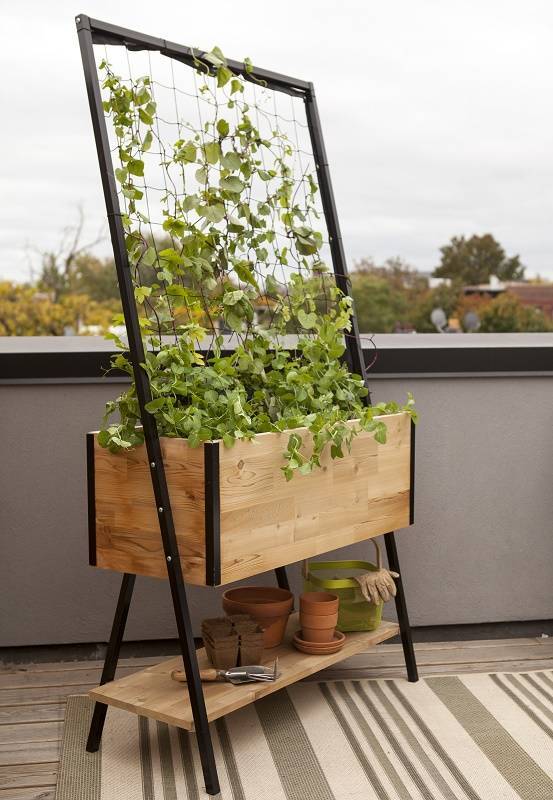 ba81bf02a619d525124c_Apex_Planter_with_Trellis_and_Shelf_photo_credit__gardeners.com__1_.jpg