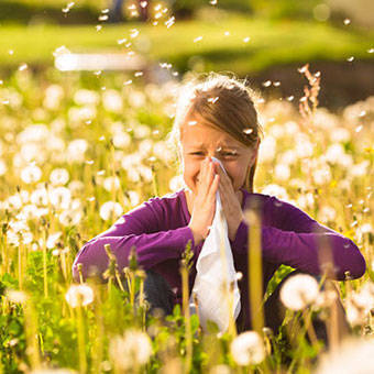 ba925f041dcbed3b3c02_allergy-s1-facts.jpg