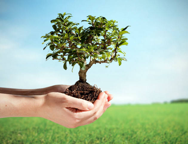bcb1ef33a2674b98cf3e_Arbor_Day-630x483.jpeg
