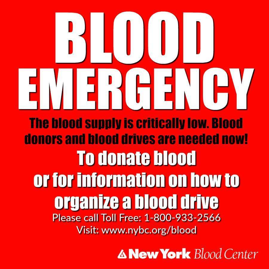 be542e50a3d008691692_2017_summer_emergency.jpg