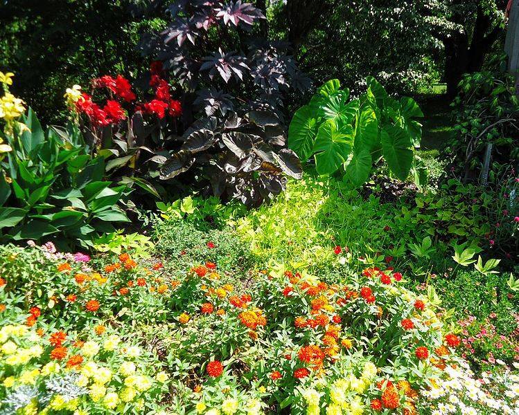 bebbca917e6128c231bf_Rutgers_Gardens_in_New_Brunswick_New_Jersey_flowers_and_bushes_Image_Number_28.jpg