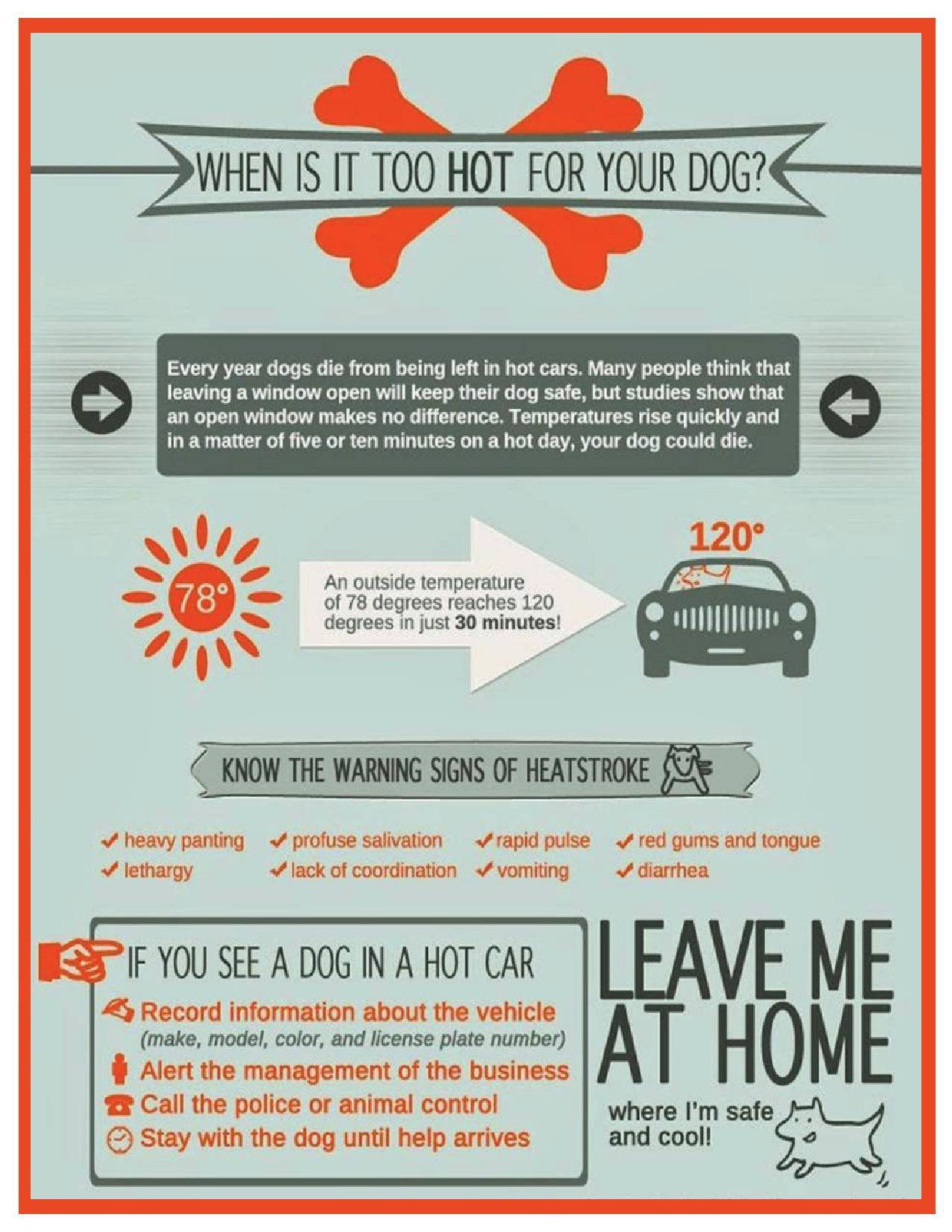 bf63a804e9c91ca9bf78_Heat_Warning_Dog_flyer_7-17-page-001.jpg