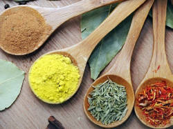 c06a763e439d52b6e7d1_e460d12689c03f1759ab_events_cookingseries.jpg