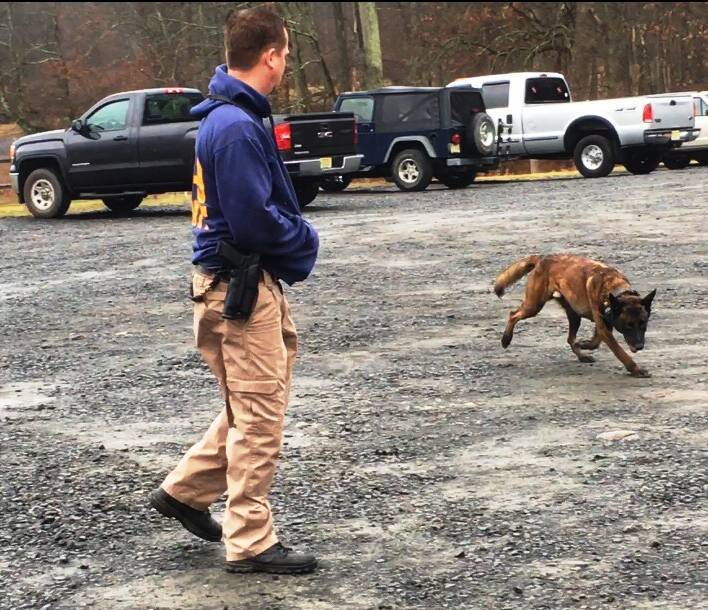 c10e66fe23ca3e318a91_sompixbloodhounds2.jpg