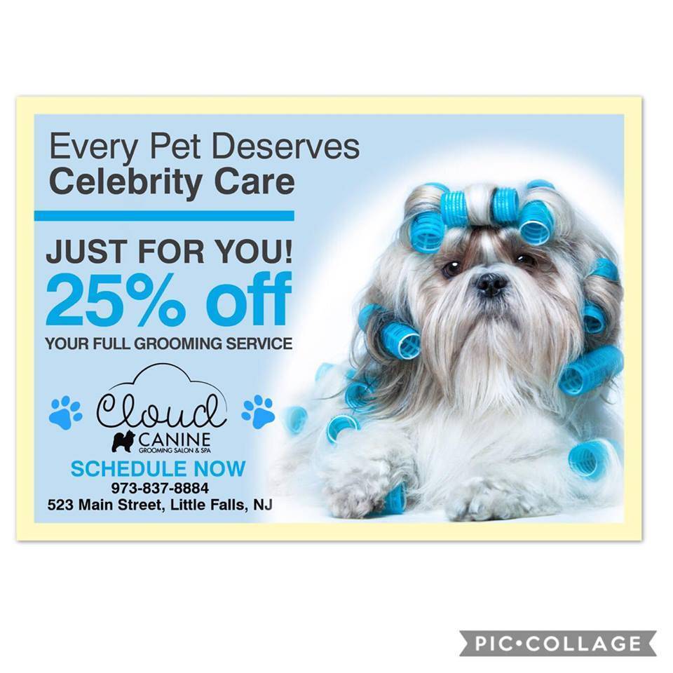 Orange county register subscription deals 2018