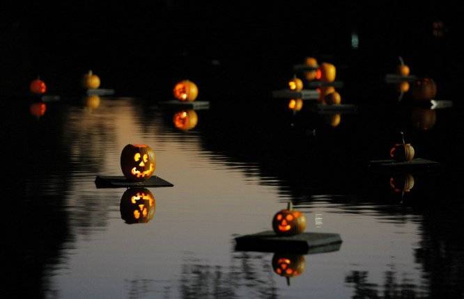 c2b0697bfb4cfc5ecd20_Pumpkin-Sail-1.jpg