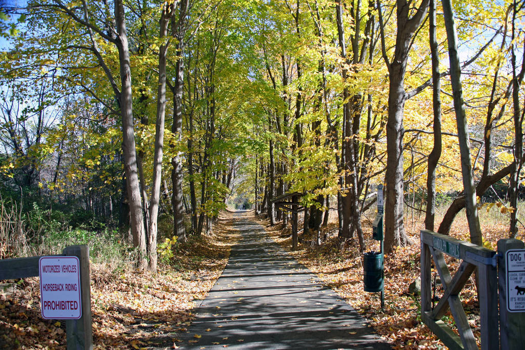 c33ea6ffa00086ec877d_trailsmasterplan.jpg