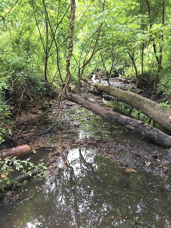 c3b8f5cda3dc3f3e5829_Fanwood_Nature_Center.jpg