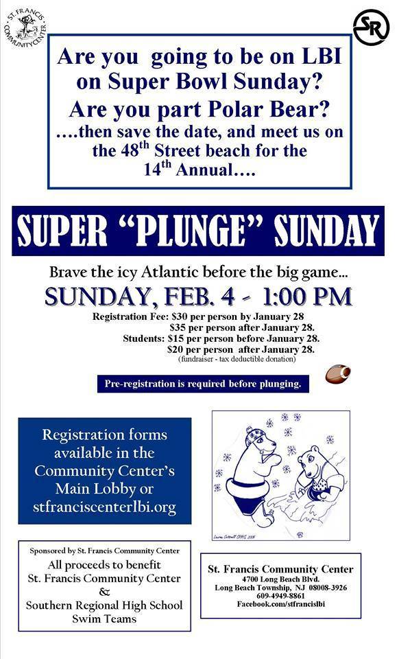 c522ecd8b7bec8ba96e0_super_plunge_brochure.jpg