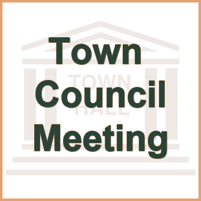 c6d1f95b9b0a06ab47e2_towncouncilmeeting.jpg