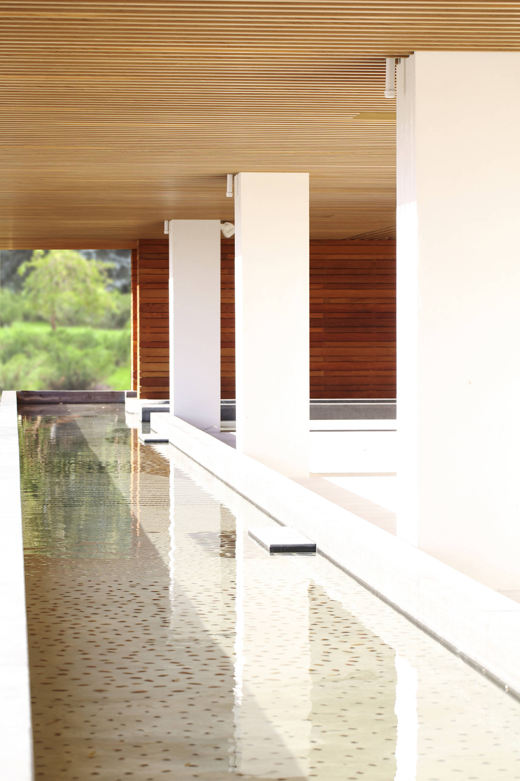 SoJo Spa Club Opens in Edgewater TAPinto