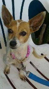 c81477e6f61d55f7d189_Charlotte.jpg