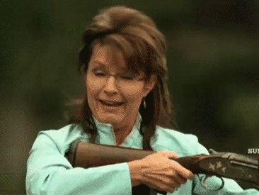 c8cc059ba2015e7dbea1_SarahPalinCropped.gif