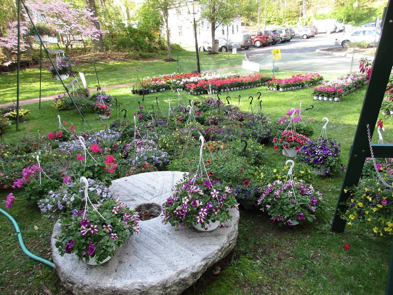 c952592ce2a123078632_2016SpringFlowerSale.jpg