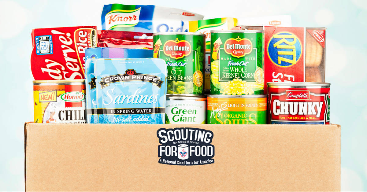 c9d01cfcd8b0f1fce936_Scouting_for_Food_image.jpg