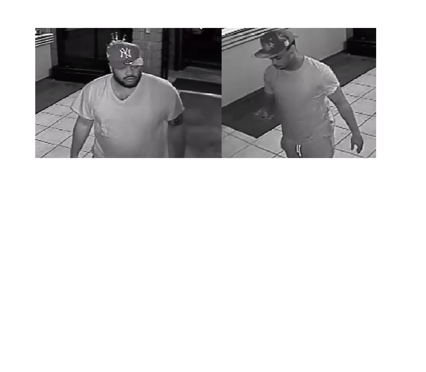 c9fc3ae2733e75588d76_RCI_suspects.jpg
