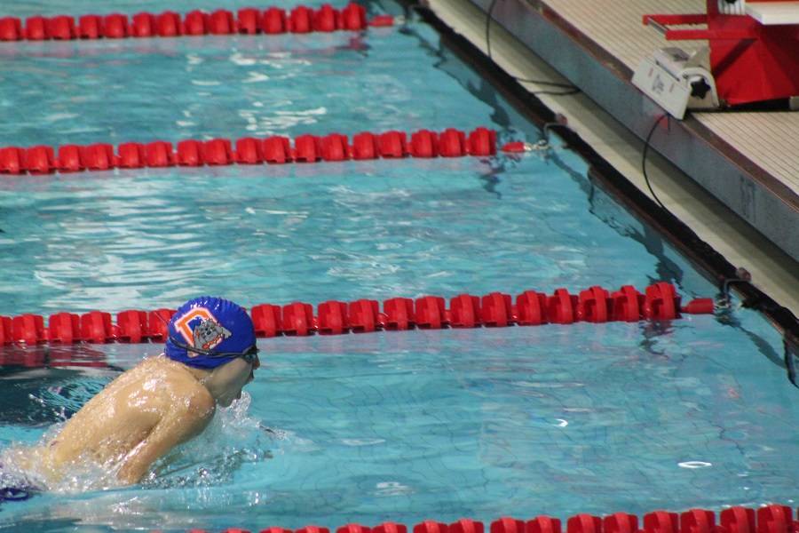 ca368e98d23f99f275bb_SwimBreastStrock.jpg