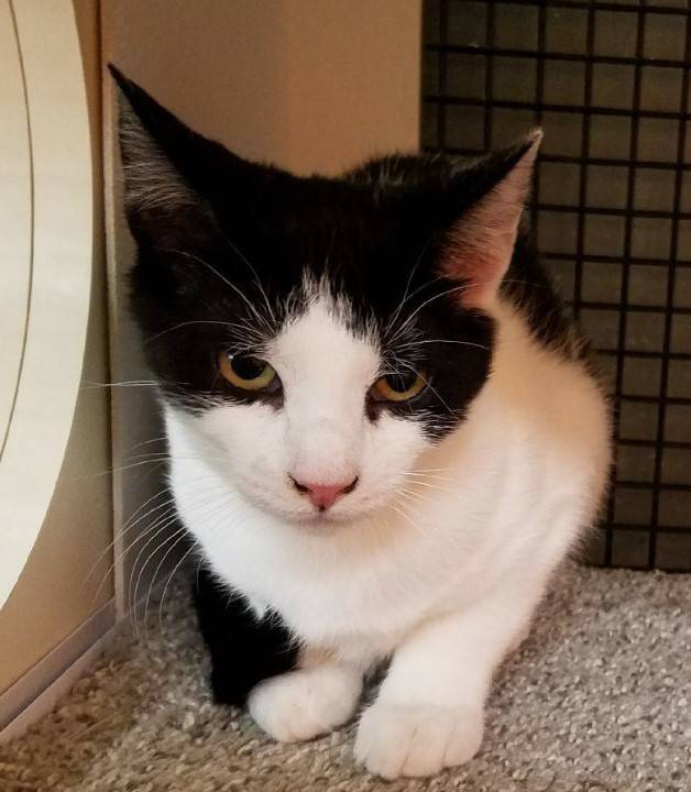 cb6e4431c407212a3517_Mugsy__2_.jpg