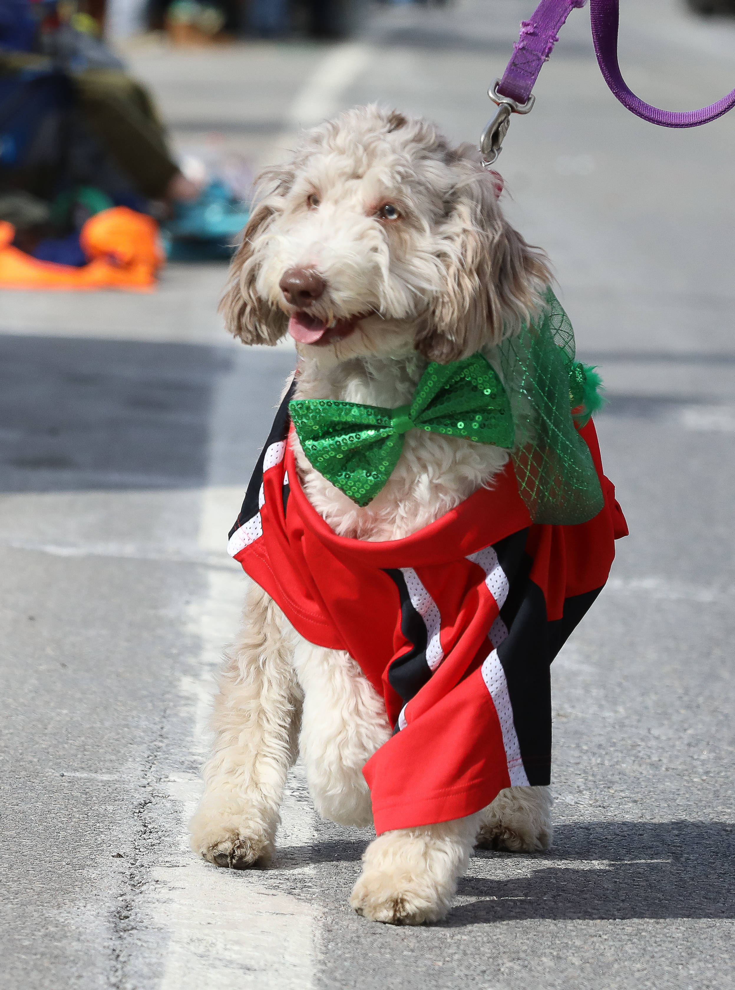 cd84f872e17595a6a2a8_StPatsParade-170312-3.jpg
