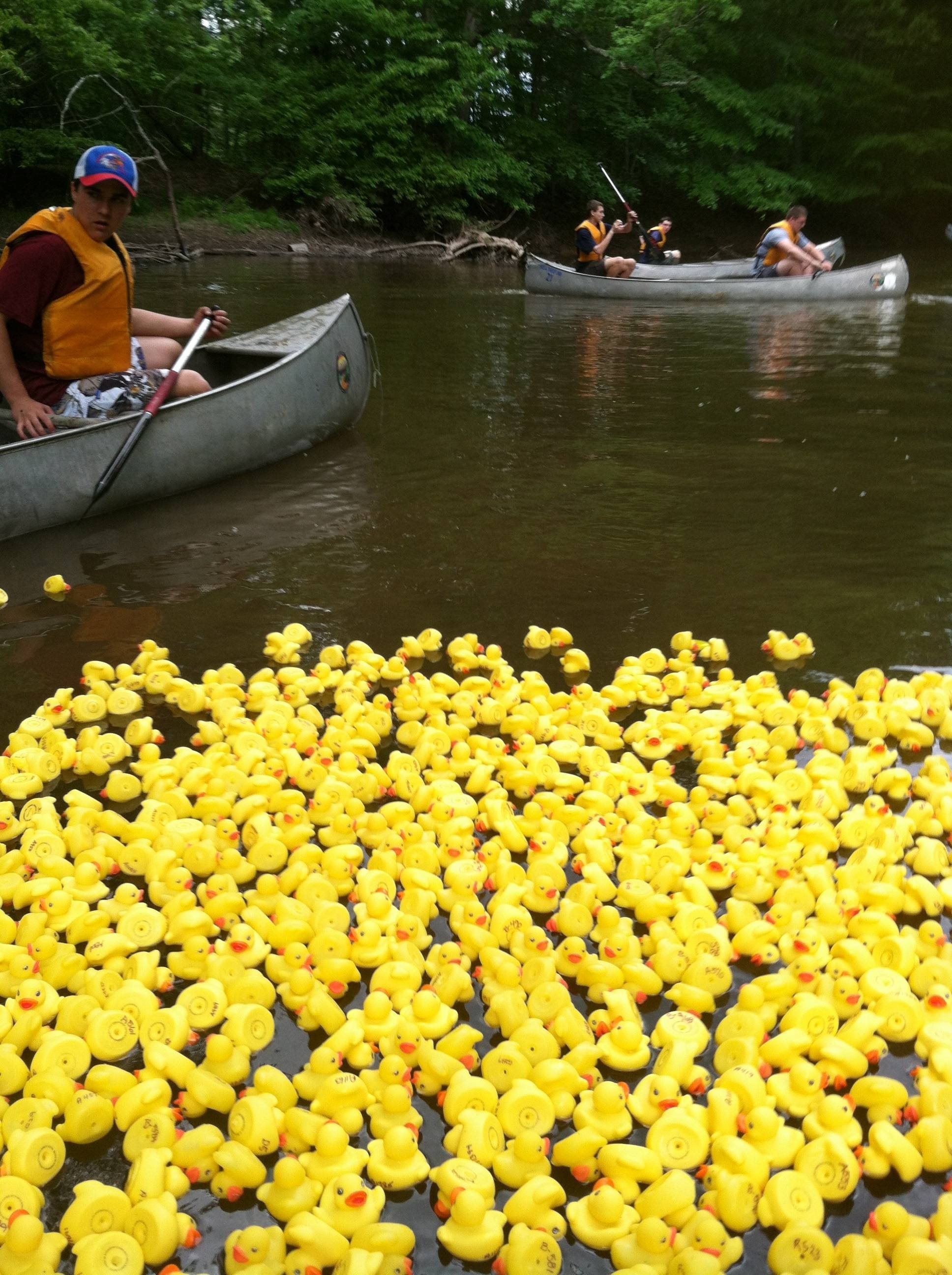cecba43adb8c8ef8090e_rubberducky.jpg