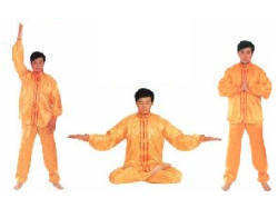 cf300c4eec4ac3f9ebfa_2f7e8d78327e7c881bc5_events_falungong1016.jpg