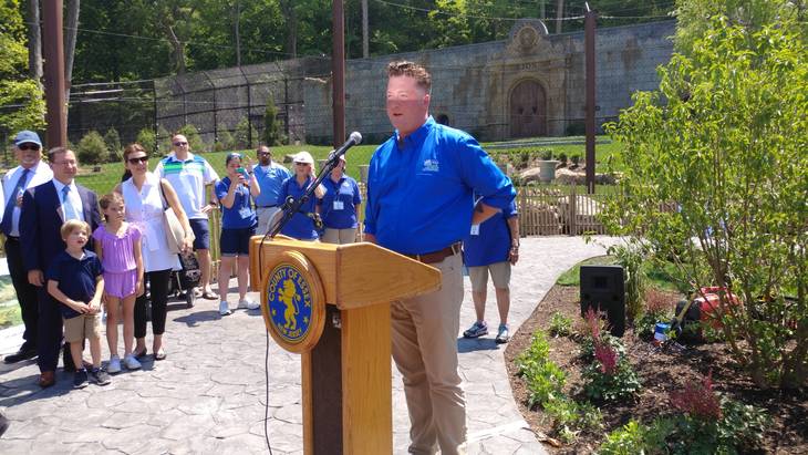 Best collection new yorker cartoons archive