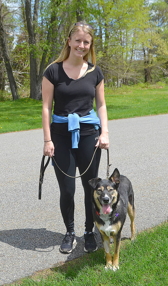 Pets Pack FDR Park in Yorktown for Annual SPCA dog Walk TAPInto