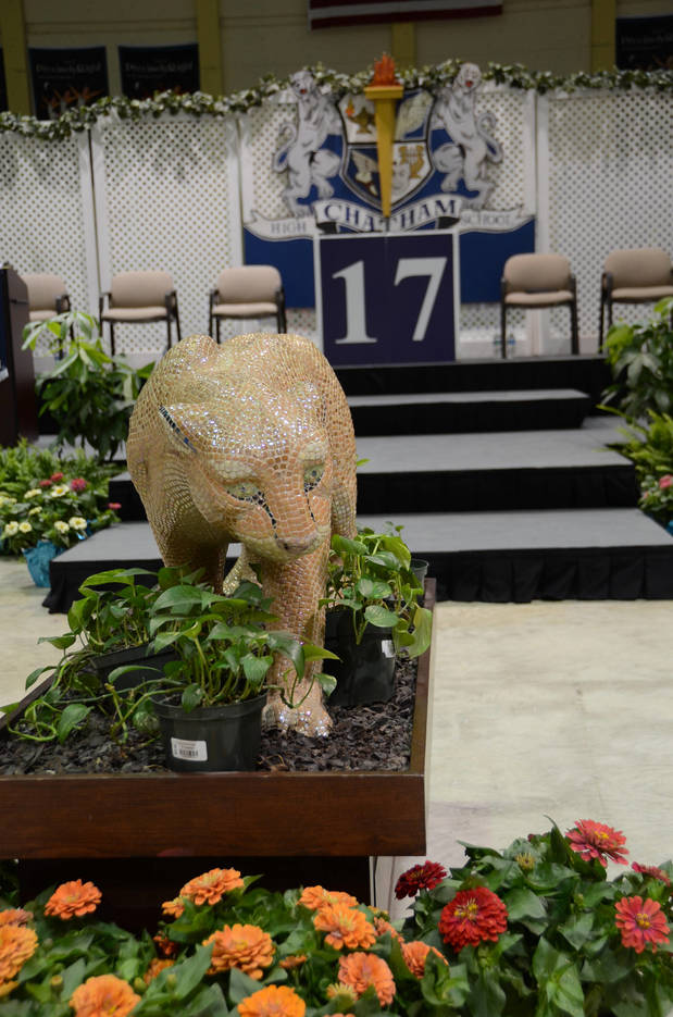 21e8bb4f039e595beeb8_CHS_Graduation_2017_DSC_4703.jpg