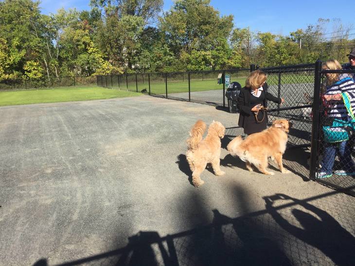 Southside Dog Park is Open for Business South Plainfield NJ News