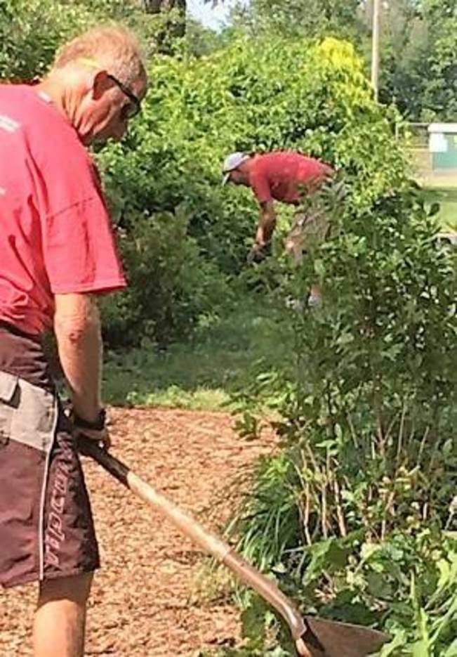 Lake Como S Butterfly Garden Poised To Welcome Its Summer Guests
