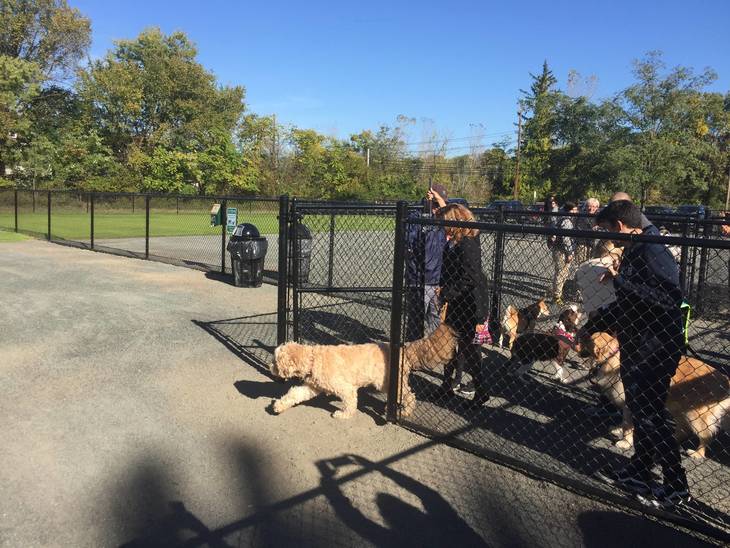 Southside Dog Park is Open for Business TAPinto