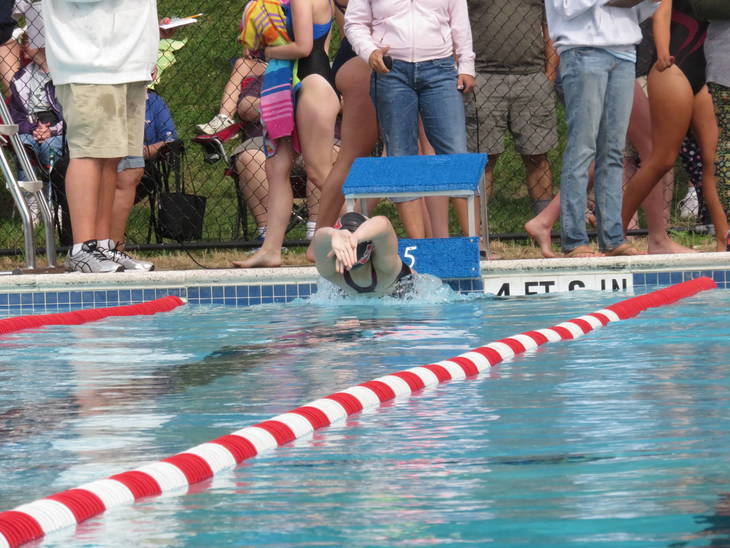 Newton Swim Team Hosts 2017 Wallkill Valley Swim Conference TAPinto