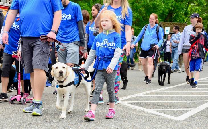 Can Police Dogs Bo Service Dogs Can Police Dogs Bo Service Dogs