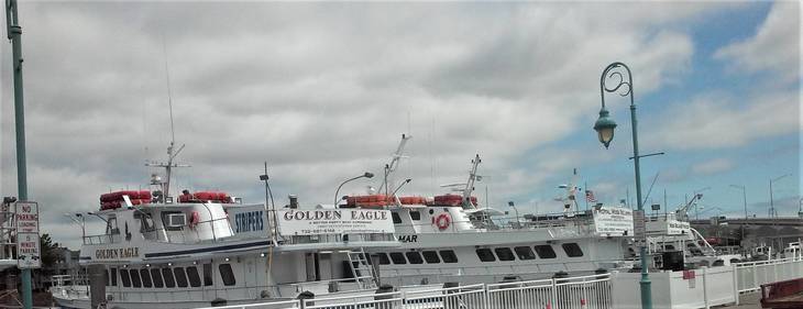 party boat fishing belmar nj fluke fishing party boats belmar nj image of fishing party boat fishing belmar nj fluke fishing party boats belmar nj image of fishing