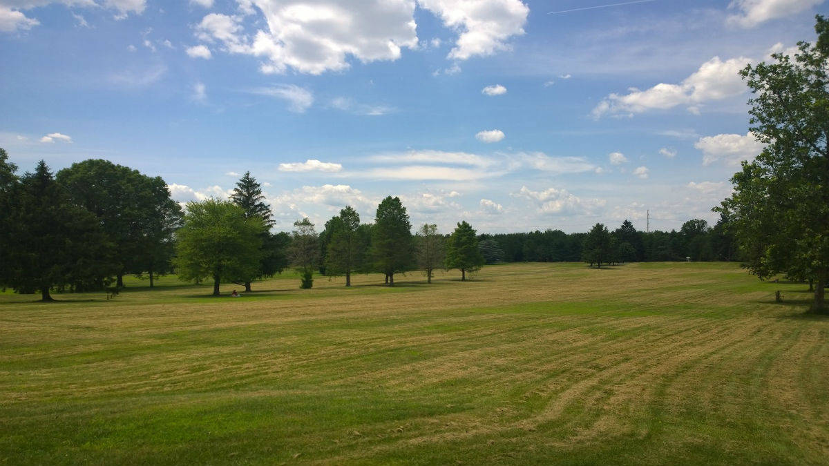 d09111dd58633d6dae8c_oak_ridge_field.jpg